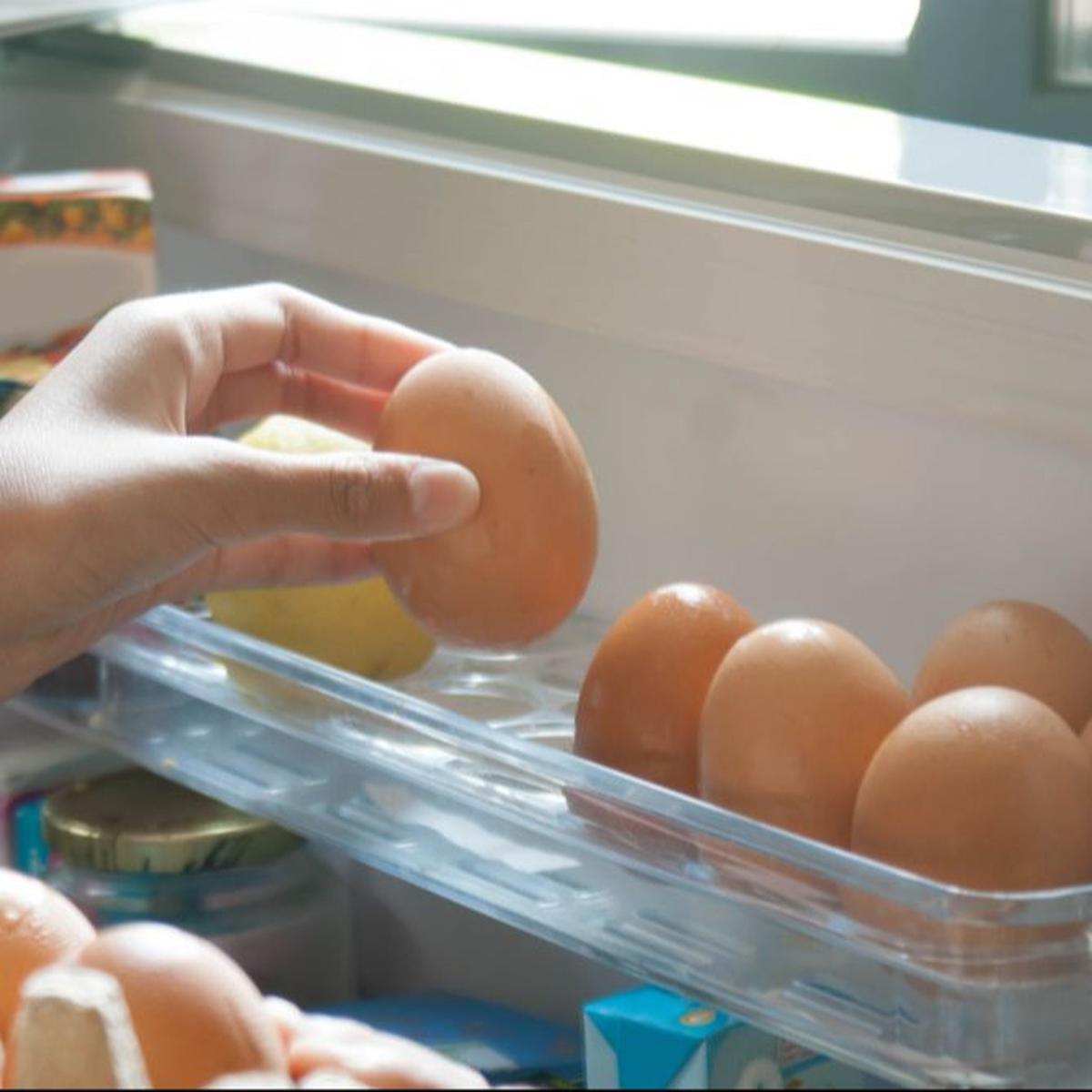 Si Kecil Selalu Ingin Makan Telur Setiap Hari, Bolehkah? Dokter Beri Penjelasan