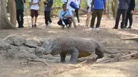 Taman Nasional Komodo menjadi salah satu destinasi di Labuan Bajo yang wajib registrasi online. (dok. Biro Humas Kemenparekraf/Dinny Mutiah)