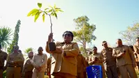 Wamendagri Ajak Warga NTT Masifkan Penanaman Pohon