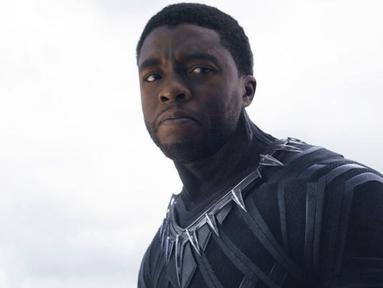 Chadwick Boseman sebagai Black Panther di film Captain America Civil War. (Digital Spy)
