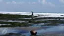 Seorang warga mencari kerang di kawasan wisata Tanah Lot, Bali, 31 Agustus 2015. Kawasan wisata Tanah Lot masih menjadi primadona bagi wisatawan yang berkunjung ke Bali. (Liputan6.com/Helmi Fithriansyah)
