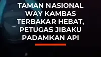 Taman Nasional Way Kambas Terbakar Hebat, Petugas Jibaku Padamkan Api
