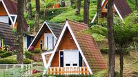 6 Tempat Wisata Kekinian di Purwokerto dan Sekitarnya untuk Libur Lebaran, Hutan Pinus Limpakuwus. (Dok: IG @hutanpinuslimpakuwuss's profile picturehutanpinuslimpakuwuss https://www.instagram.com/p/C-HXpYRJnat/?igsh=MWUzcXpoYWg5cXpwbg==