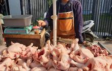 Harga Daging Ayam Mahal, Menko Zulhas: Sekarang Rp37.000, Masih di Bawah Harga Eceran Tertinggi