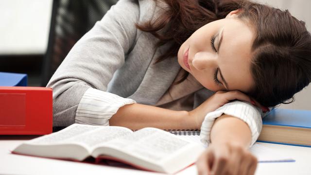 6 Tanaman Penghilang Kantuk Saat di Kantor