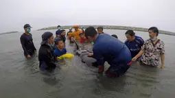 Relawan ThaiWhales dan dokter hewan berupaya menyelamatkan paus pilot jantan yang sakit dan tidak bisa berenang di pesisir pantai di Songkhla, Thailand, Sabtu (2/6). Sekitar 80 kantong plastik ditemukan di dalam perut paus tersebut. (AFP/ThaiWales)