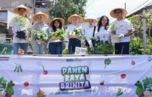 Hari Pangan Sedunia, BRI Peduli Komitmen Dukung Ketahanan Pangan Melalui Panen Raya BRInita