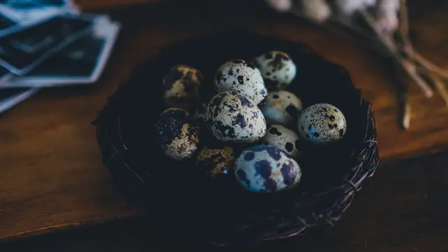 Ilustrasi telur puyuh