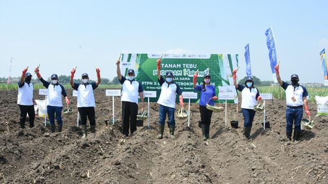 Petrokimia Gresik dan PTPN X menggelar tanam perdana komoditas tebu Program Makmur