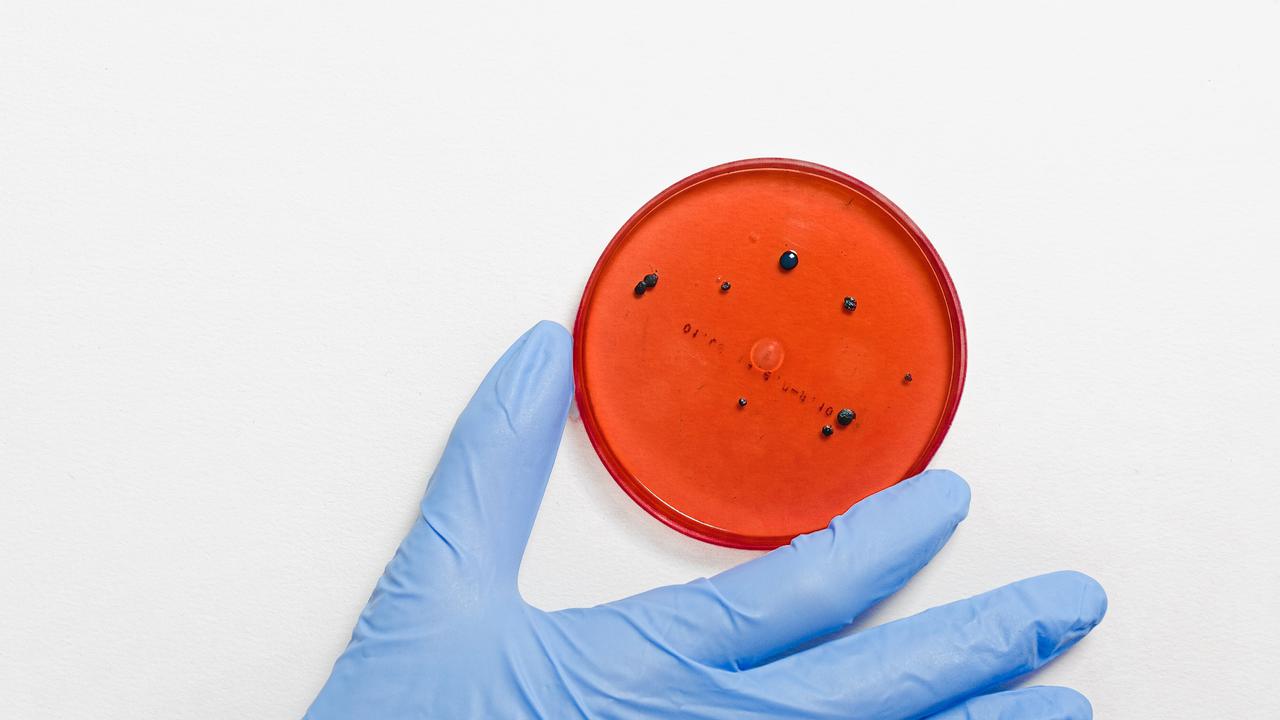 WHO Temukan Varian Baru Covid-19 Deltacron, Kombinasi Delta dan Omicron