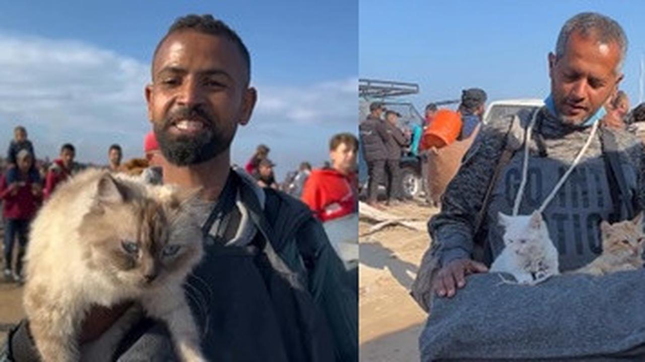 Gencatan Senjata Resmi Diberlakukan, ini Potret Warga Gaza Palestina Pulang Bersama Kucing Mereka Berjalan Kaki di Tengah Puing Bangunan