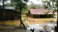 Drainase Tersumbat Batu Bara, Puluhan Rumah Warga di Teluk Waru Kariangau Kebanjiran