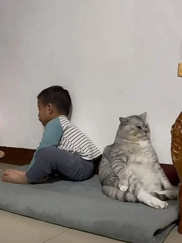 Makin Menggemaskan, Ini 7 Potret Kucing Sedang Ngambek yang Bikin Meringis