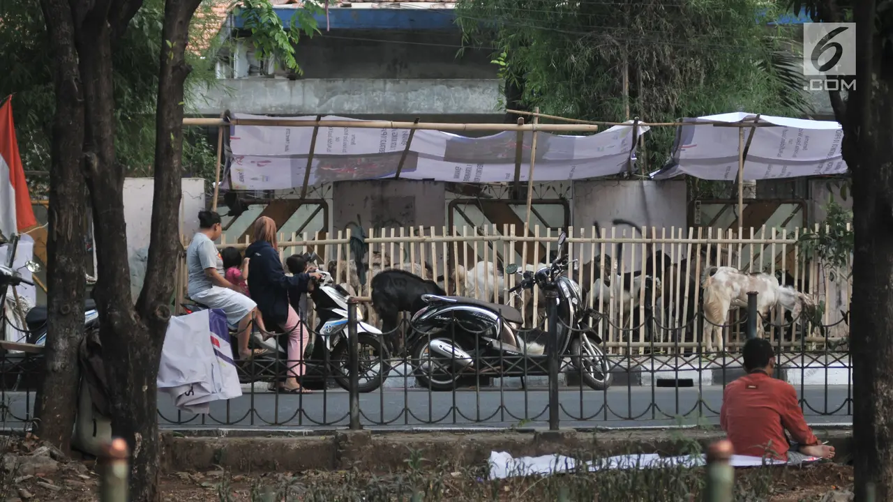 Tak Ada Lahan, Pedagang Nekat Jual Hewan Kurban di Trotoar
