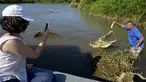 Seorang wanita mengambil gambar seorang petugas yang sedang memberi makan seekor buaya di Sungai Tarcoles, Rio Grande, Kosta Rika, Jumat (13/3/2015). Buaya menjadi daya tarik objek wisata Sungai Tarcoles. (AFP Photo/Ezequiel Becerra) 