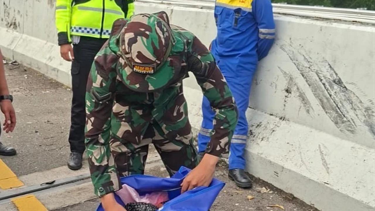 Mobil Bawa Ekstasi