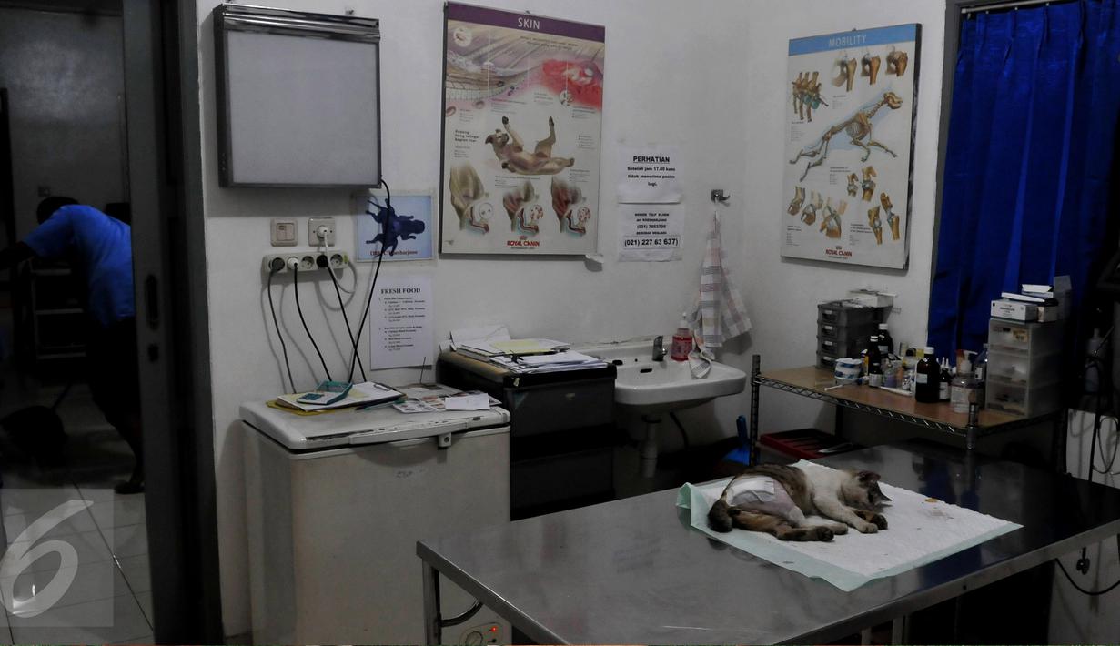 Animal Defender hanyalah salah satu bentuk dukungan dalam menjaga keserasian semesta. Sudah seharusnya manusia tidak hanya memikirkan kelestarian sesamanya, tetapi juga kelestarian makhluk hidup lainnya. (Liputan6.com/Johan Tallo)