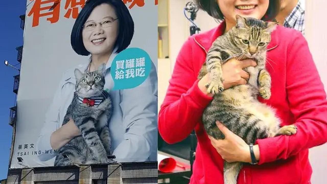 Selain Presiden Prabowo, 4 Pemimpin Dunia Ini Juga Punya Kucing yang Jadi Sorotan Seperti Bobby Kertanegara