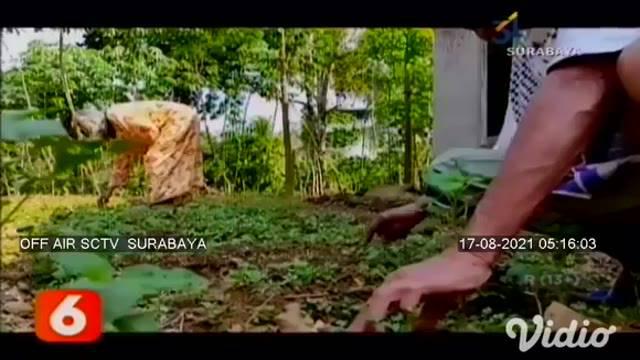 Sudirno (79) warga Dusun Ketro, Desa Petungsinarang, Kecamatan Bandar, Pacitan, Jawa Timur, merupakan salah satu tokoh perancang gambar uang kertas rupiah. Sudirno membuat desain uang kertas Rp 1000 di tahun 1980, dan uang kertas Rp 10000 di tahun 19...
