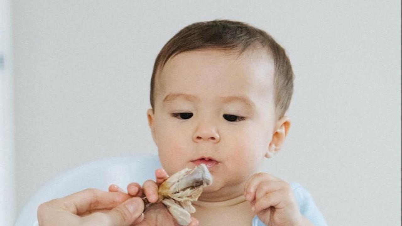 5 Resep Mpasi Tinggi Kalori Super Simple Tapi Enak, Bisa Bikin BB Melesat