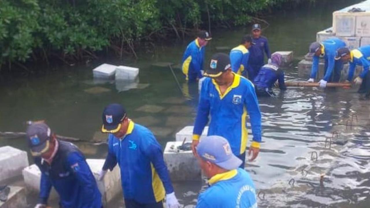 Antisipasi Abrasi, Pemkab Pulau Seribu Bangun Tanggul Kokoh di Pulau Harapan
