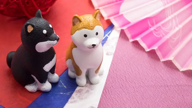 Lucky and Unlucky Things for the Dog Zodiac Sign