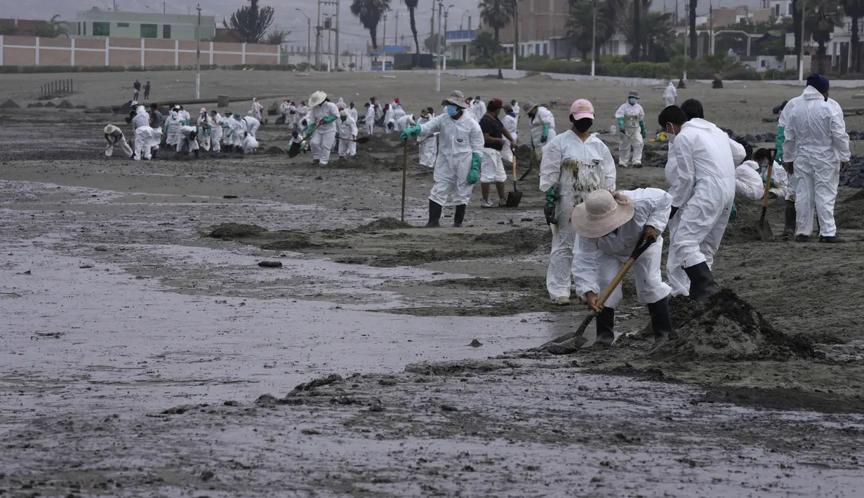 Pekerja mengenakan pakaian pelindung membersihkan Pantai Conchitas yang terkontaminasi tumpahan minyak, di Ancon, Peru, Kamis (20/1/2022). Tumpahan minyak di pantai Peru disebabkan oleh gelombang dari letusan gunung berapi bawah laut di negara Pasifik Selatan Tonga. (AP Photo/Martin Mejia)