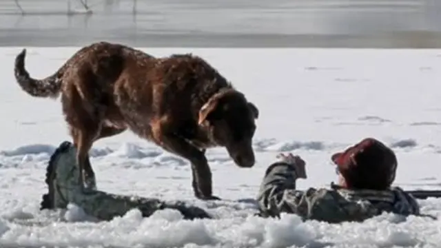 Foto: Copyright Oddee.com