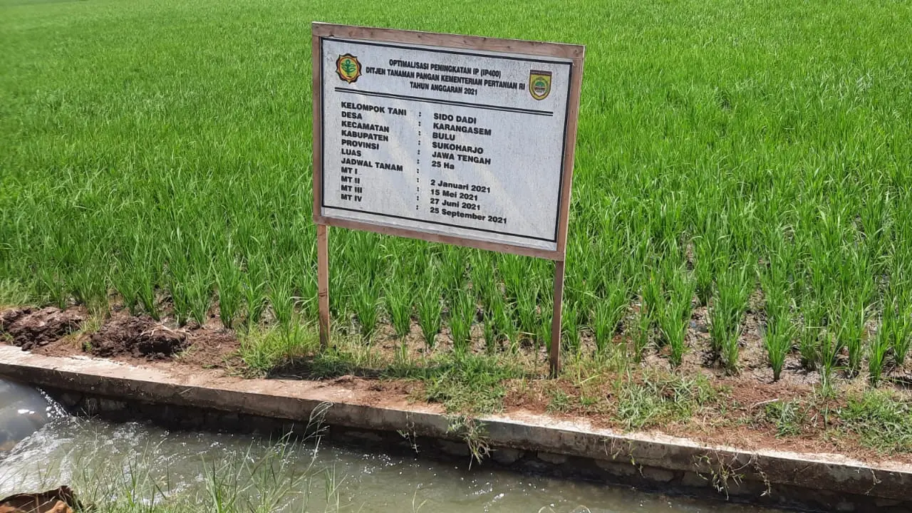Komplek persawahan di Kabupaten Sukoharjo Jateng Teraliri air bekas Energi dari PLTA Wonogiri