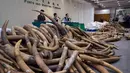 Sejumlah gading gajah sitaan diperlihatkan oleh Bea Cukai Hong Kong, Kamis (6/7). Otoritas Hong Kong menyita kargo berisi gading seberat 7,2 ton yang berasal dari Malaysia dengan nilai USD9 juta atau setara Rp120 miliar. (AP Photo/Kin Cheung)