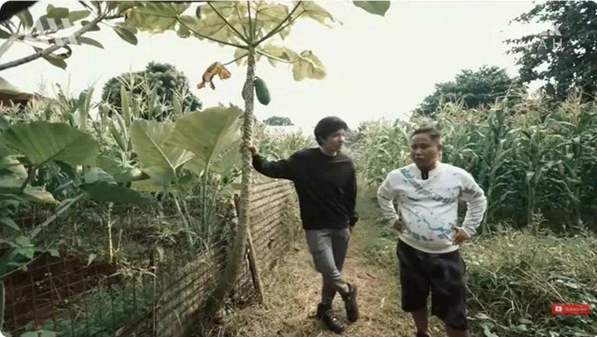 6 Potret Kebun di Rumah Narji, Eks Komedian yang Kini Jadi Juragan Pertanian