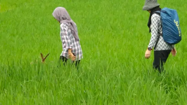 Pendaki di Gunung Lumbung https://www.instagram.com/p/CddUEgkpbbM/?igsh=bGdiNWFsNDd6MGQz