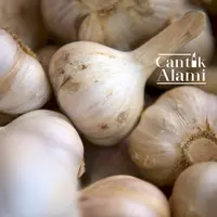 Bawang putih. (unsplash.com)