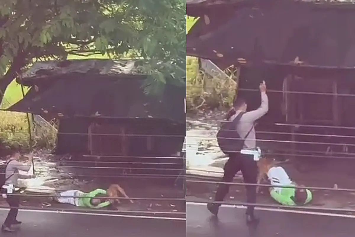 Aksi Heroik Polisi di Lampung Duel Lawan Pit Bull Besar