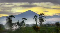 Gunung Bukittunggul di Bandung, merupakan sisa letusan Gunung Sunda Purba . (Dok: IG grue_documentary&nbsp;https://www.instagram.com/p/C58fimQppG9/?igsh=MWh5OGNlb3hhOXJwaQ%3D%3D)
