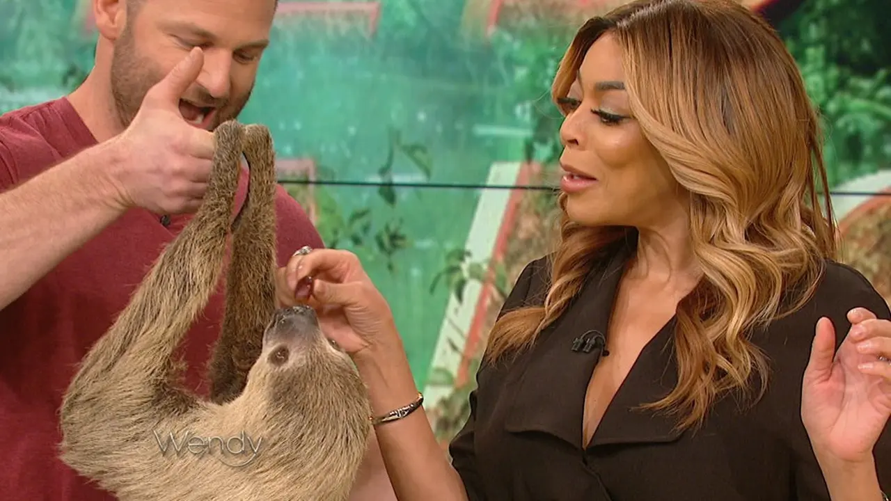 Wendy Williams