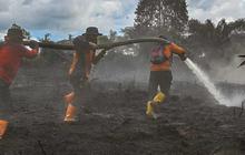 FOTO: Semangat Petugas BPBD Aceh Barat di Tengah Sulitnya Memadamkan Api di Hutan Gambut