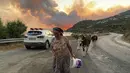 Seorang perempuan pergi dengan membawa hewan-hewan ternaknya dari kebakaran yang mengamuk di desa Cokertme, dekat Bodrum, Turki, Senin (2/8/2021). Api dari kebakaran hutan yang masih terus berkobar membuat sejumlah warga memilih untuk mengungsi ke tempat yang lebih aman (AP Photo/ Mehmet Guzel)