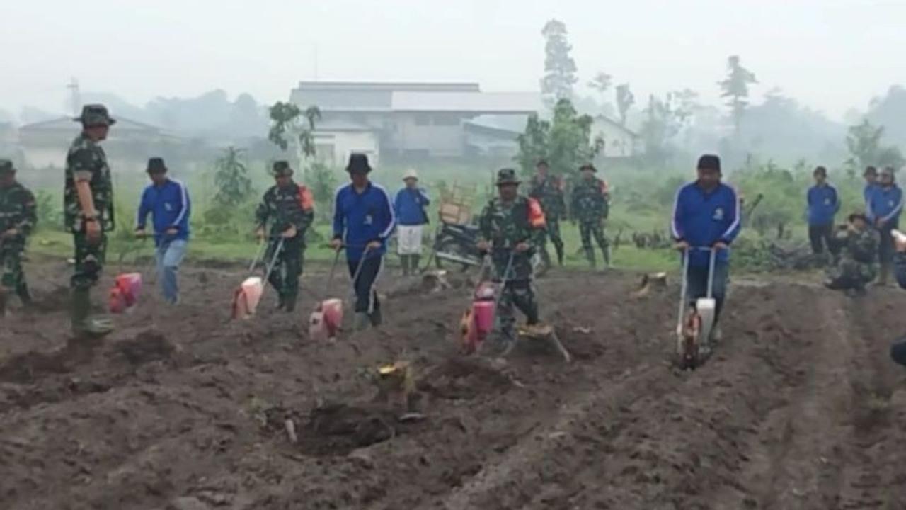 TNI Tanam Jagung Kediri, Perkuat Ketahanan Pangan Nasional Melalui TMMD ke-127