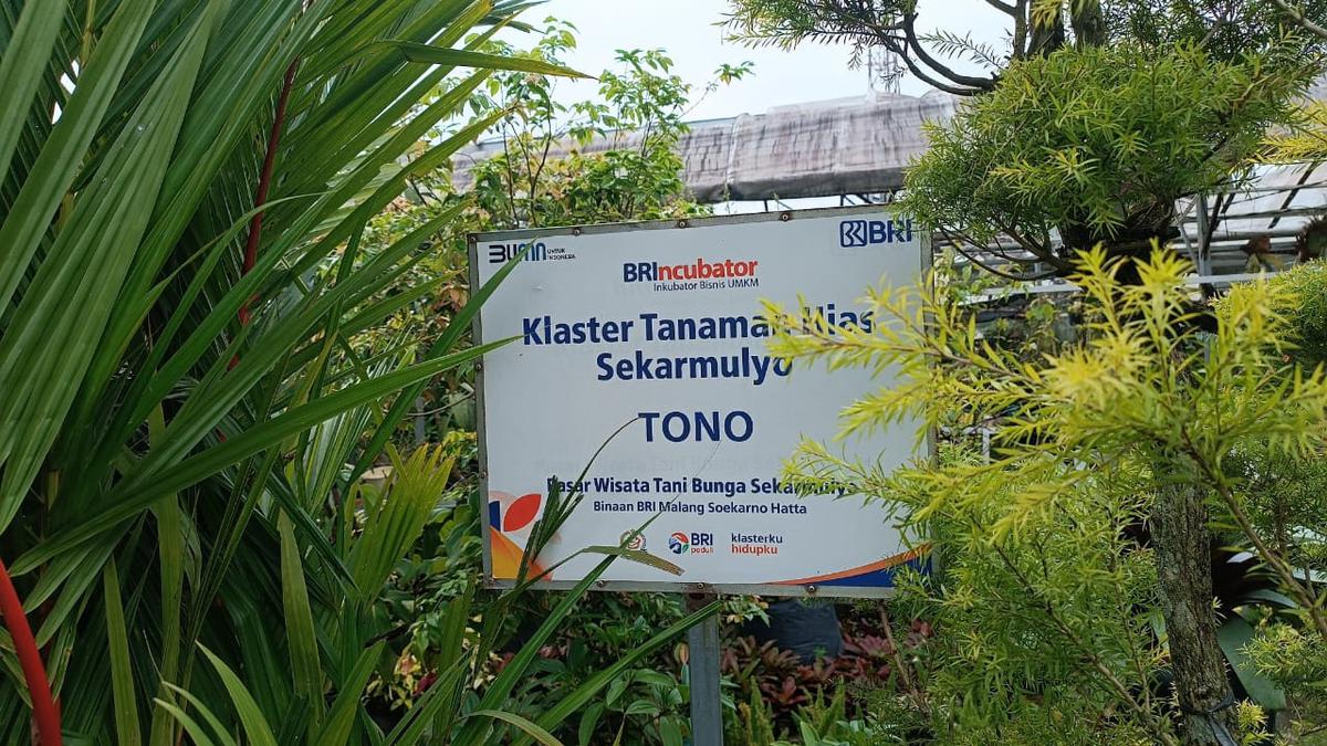 Mengintip Klaster Usaha Klaster Usaha Tanaman Hias Sekar Mulyo Batu Binaan BRI, Pintu Rezeki Utama Bagi Warga Sekitar