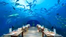 Ithaa Undersea Restaurant adalah bagian dari Hilton Maldives Resort and Spa. Restoran yang berada 5 meter di bawah permukaan laut ini dibuat dengan tujuan para tamu dapat menikmati keindahan bawah laut tanpa membuat badan mereka basah. (whenonearth.net)