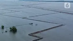 Pagar yang dibuat menggunakan bambu terlihat membentang di kawasan perairan Tarumajaya, Bekasi, Jawa Barat, Kamis (16/1/2025). (Liputan6.com/Herman Zakharia)