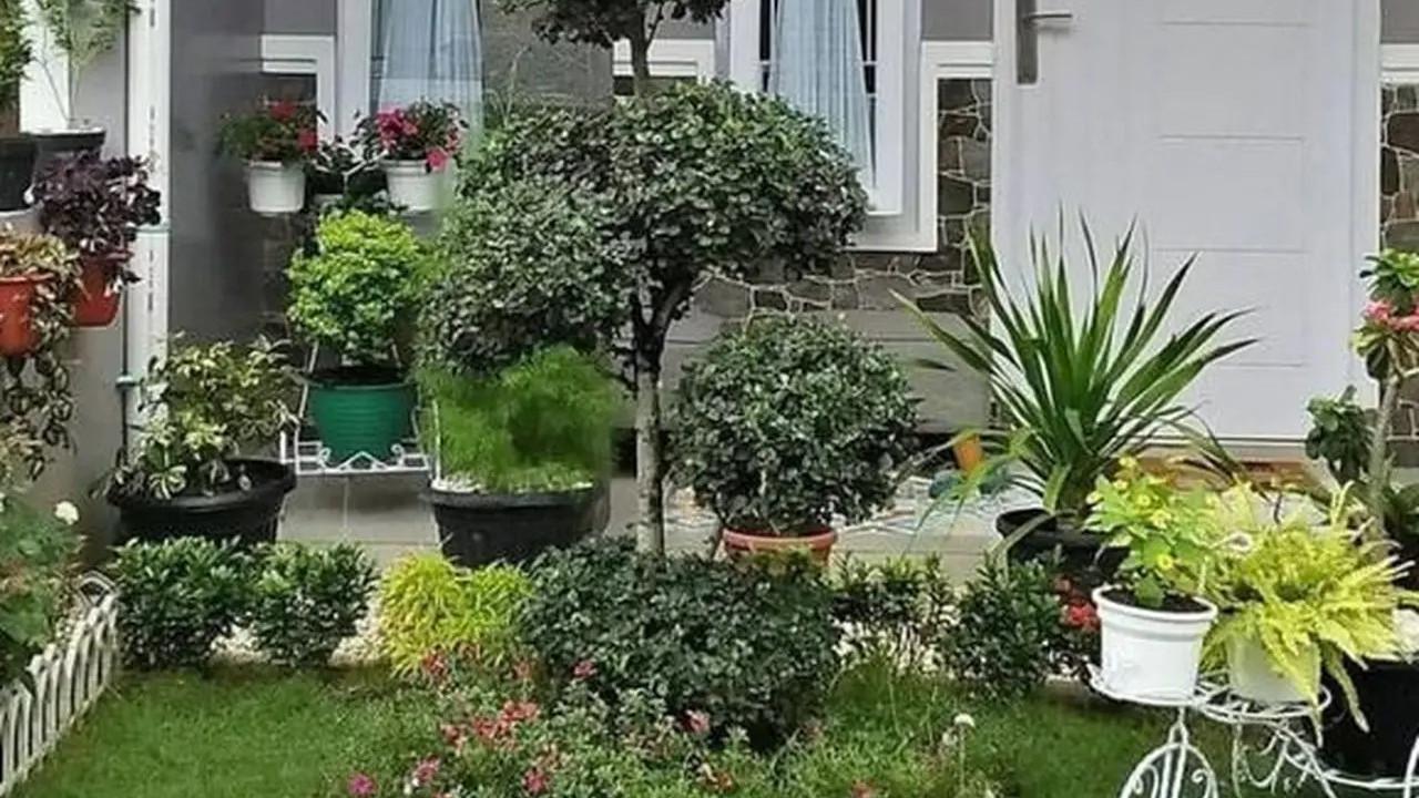 ide taman rumah minimalis