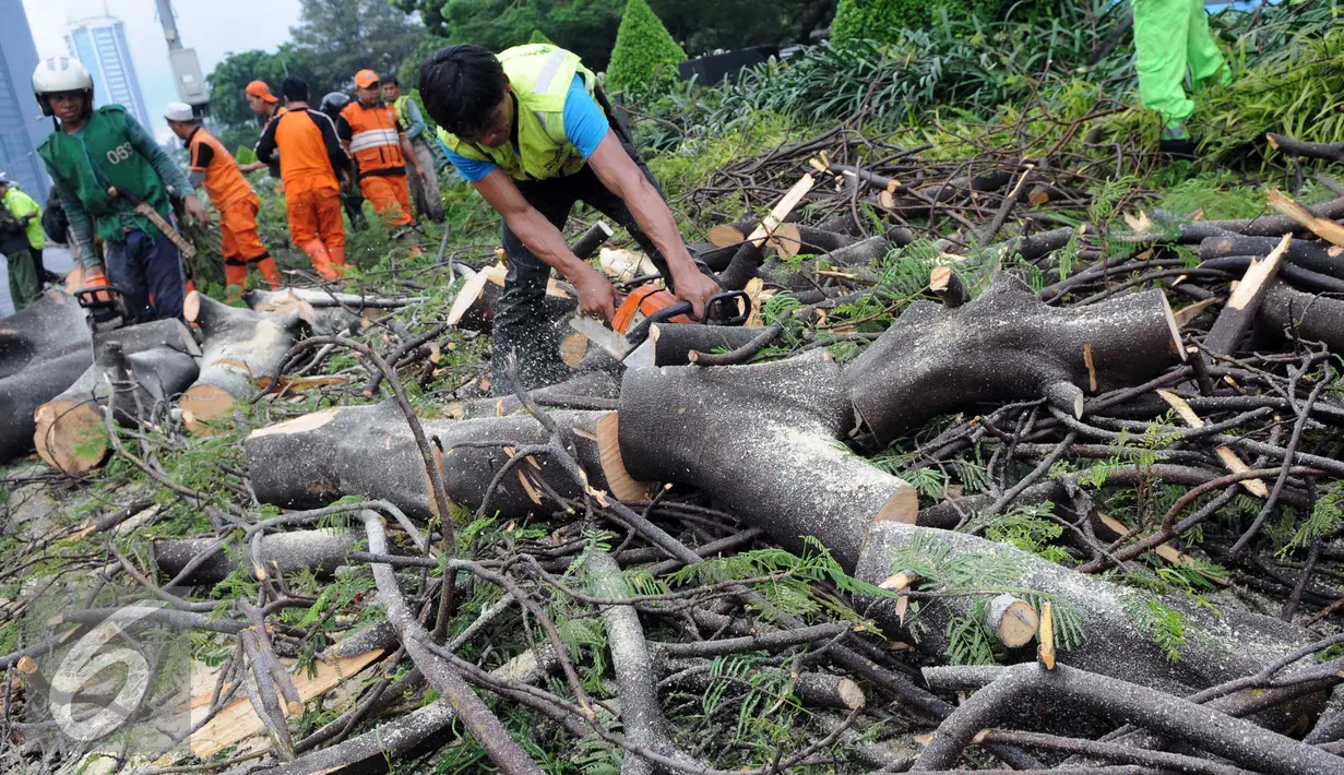 Petugas Dinas Pertamanan dan Pemakaman Provinsi DKI Jakarta memotong pohon yang tumbang di jalan Jenderal Sudirman, Jakarta, Senin (1/2). Pohon tumbang yang terjadi saat hujan deras mengakibatkan kemacetan panjang. (Liputan6.com/Helmi Afandi)
