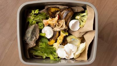 12 Cara Menghilangkan Bau Sampah Dapur Meski Belum Dibuang agar Dapur Tetap Nyaman