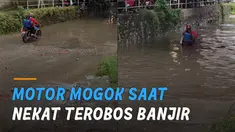 Nasib apes dialami oleh pengendara motor yang nekat melewati jalanan banjir.