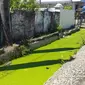 Kondisi Drainase di tengah Kota Gorontalo yang kini dikeluhkan warga (Arfandi/Liputan6.com)