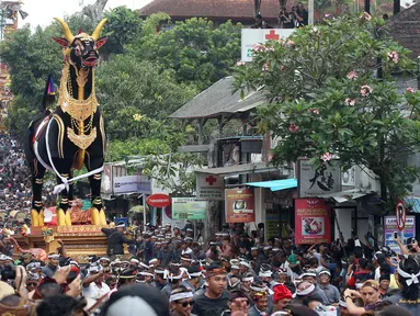 Ribuan orang berkerumun mengikuti prosesi ngaben Anak Agung Niang Agung di Bali, Indonesia, Jumat (2/3). Ngaben ini disebut melibatkan sekitar 4.500 warga dari 12 desa adat di kawasan Ubud dan disaksikan ribuan wisatawan. (AP Photo/Firdia Lisnawati)