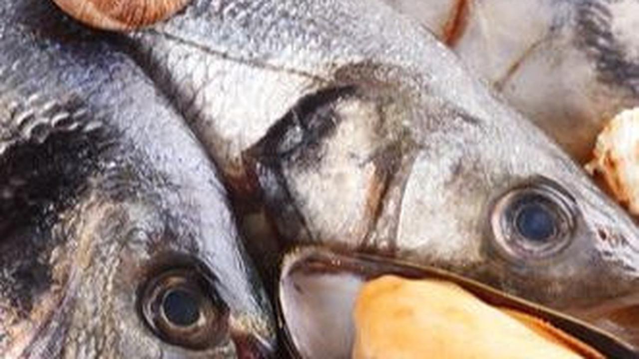Di APEC PPFS 2024 Peru, Indonesia Serukan Aksi Penyelamatan Makanan