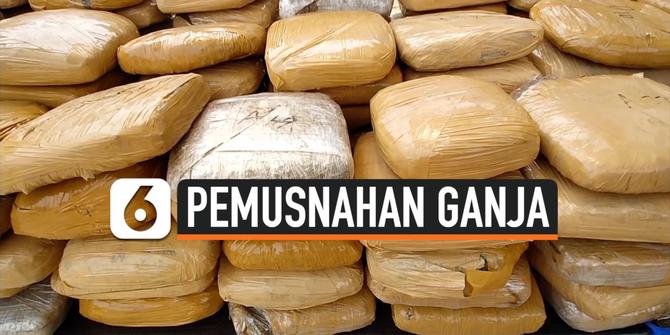 VIDEO: BNN Banten Musnahkan 301 Kg Ganja Asal Aceh